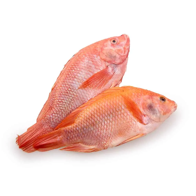 Pescado Mojarra Roja Ja 1000 Gr