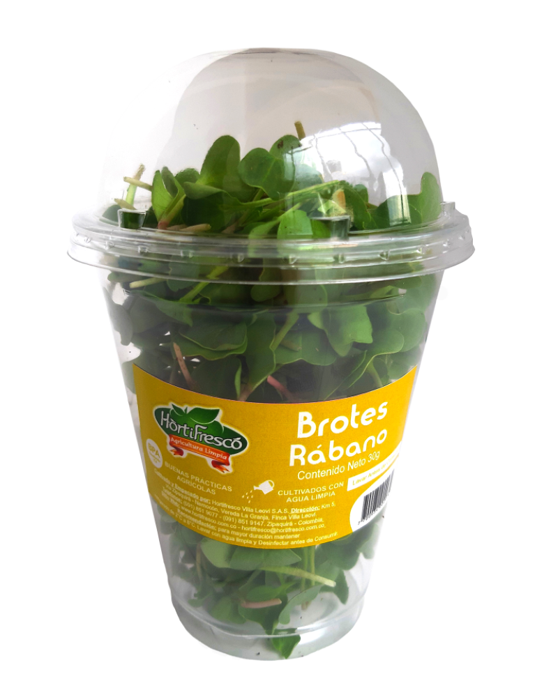 Rabano Brotes Hortifrescox30g