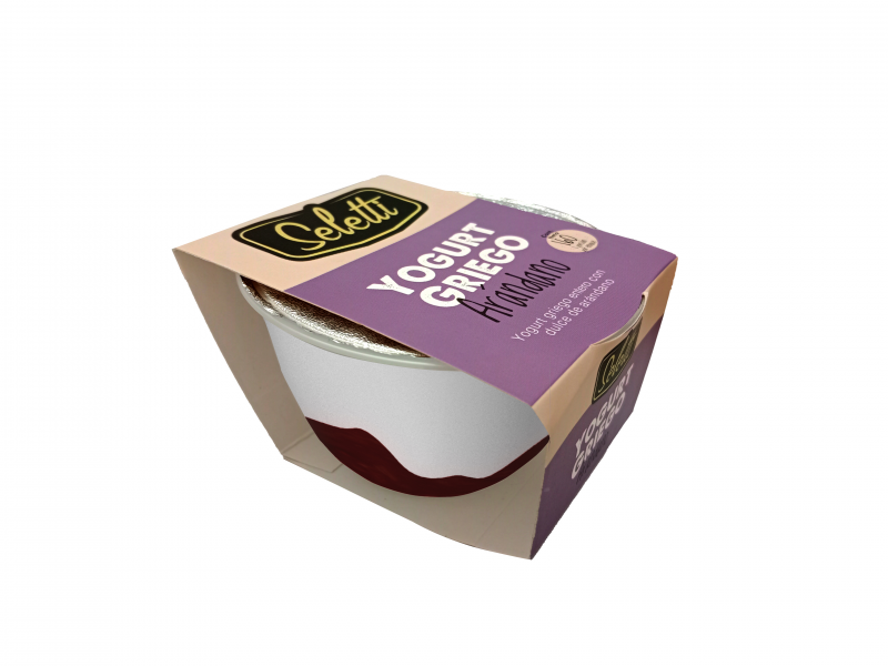 Yogurt Griego Selettix160g Arandano