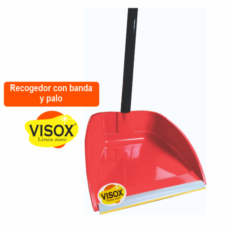Recogedor Con Banda Y Palo