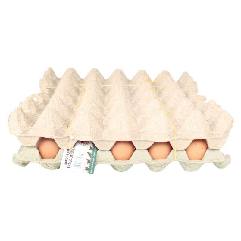Huevos Criollox30und